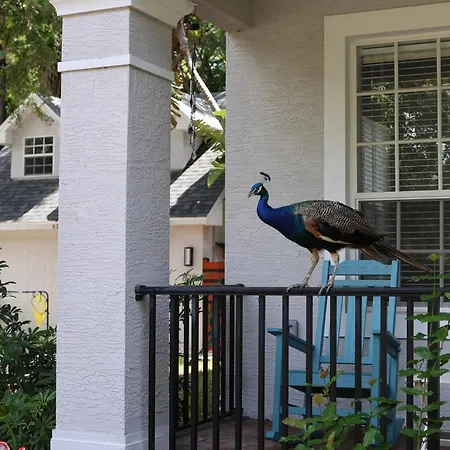 Villa Key West Style-Livin'